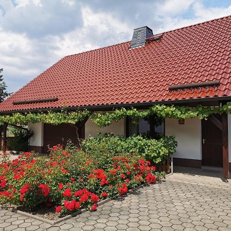 Ferienhaus Rosenhof Glaubitz Экстерьер фото