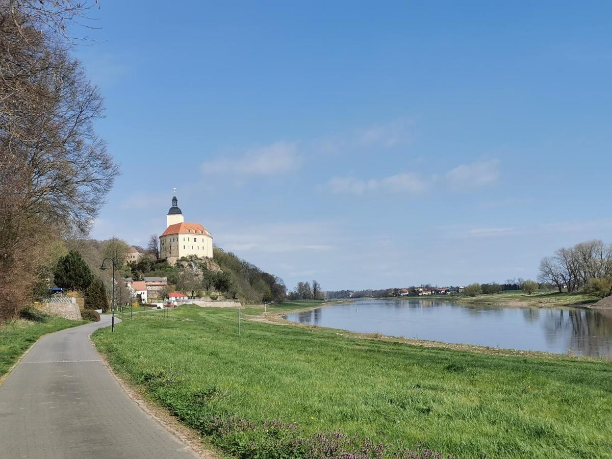 Ferienhaus Rosenhof Glaubitz Экстерьер фото