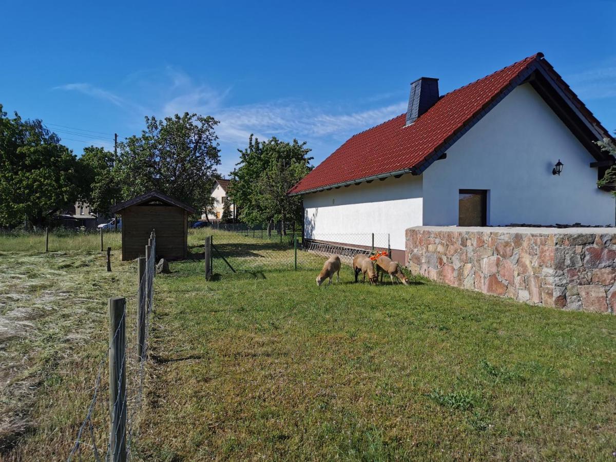 Ferienhaus Rosenhof Glaubitz Экстерьер фото